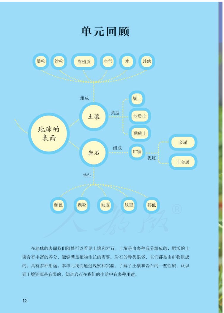 小学科学三年级下册人教版课本第14页