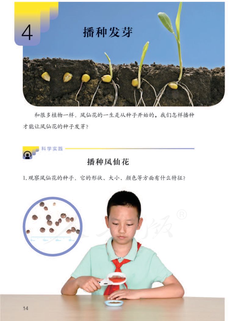 小学科学三年级下册人教版课本第16页
