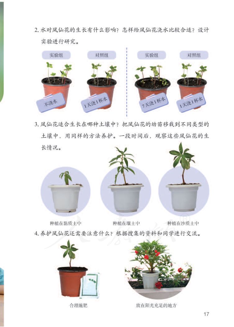 小学科学三年级下册人教版课本第19页