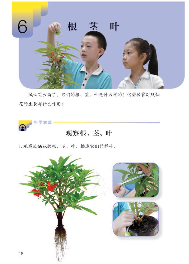 小学科学三年级下册人教版课本第20页