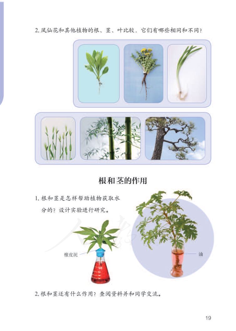小学科学三年级下册人教版课本第21页