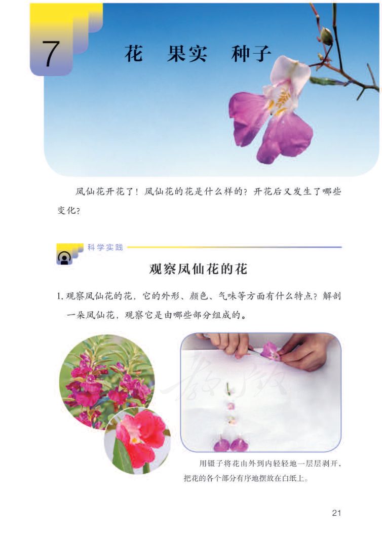 小学科学三年级下册人教版课本第23页