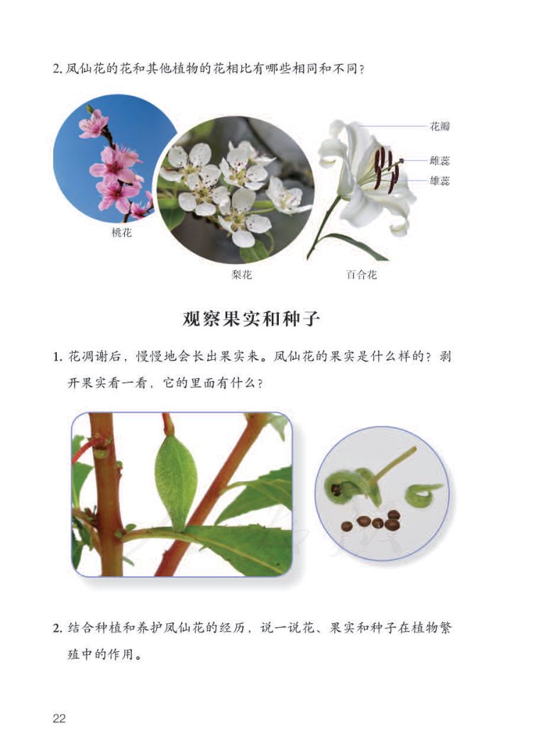 小学科学三年级下册人教版课本第24页