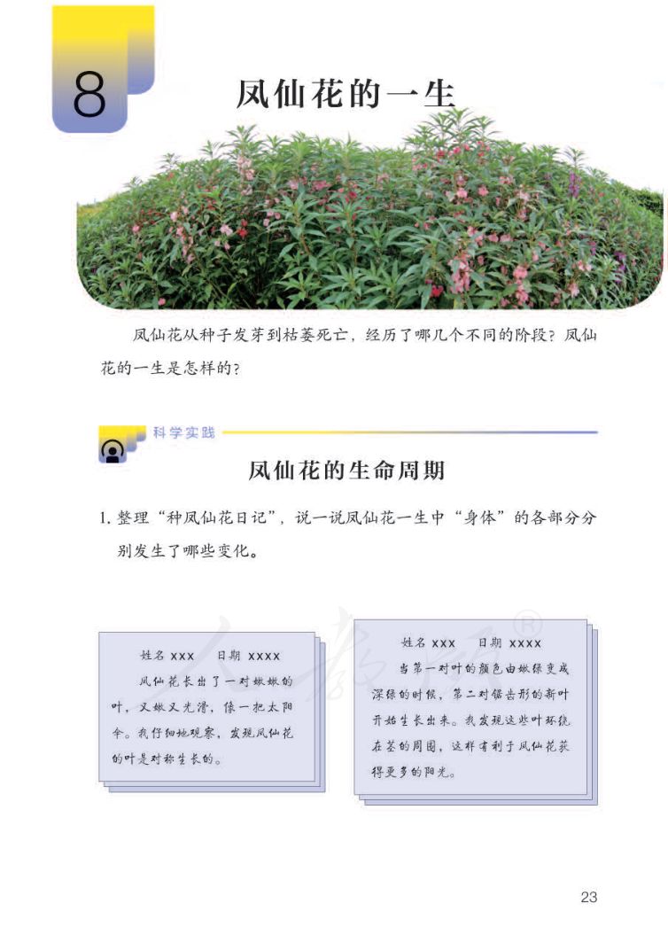 小学科学三年级下册人教版课本第25页