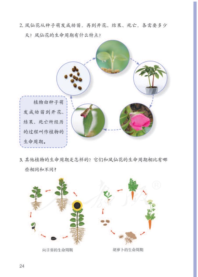 小学科学三年级下册人教版课本第26页