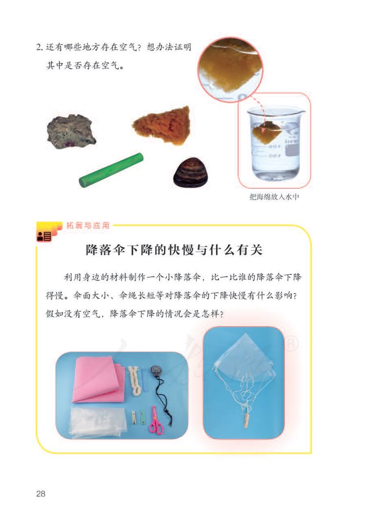 小学科学三年级下册人教版课本第30页