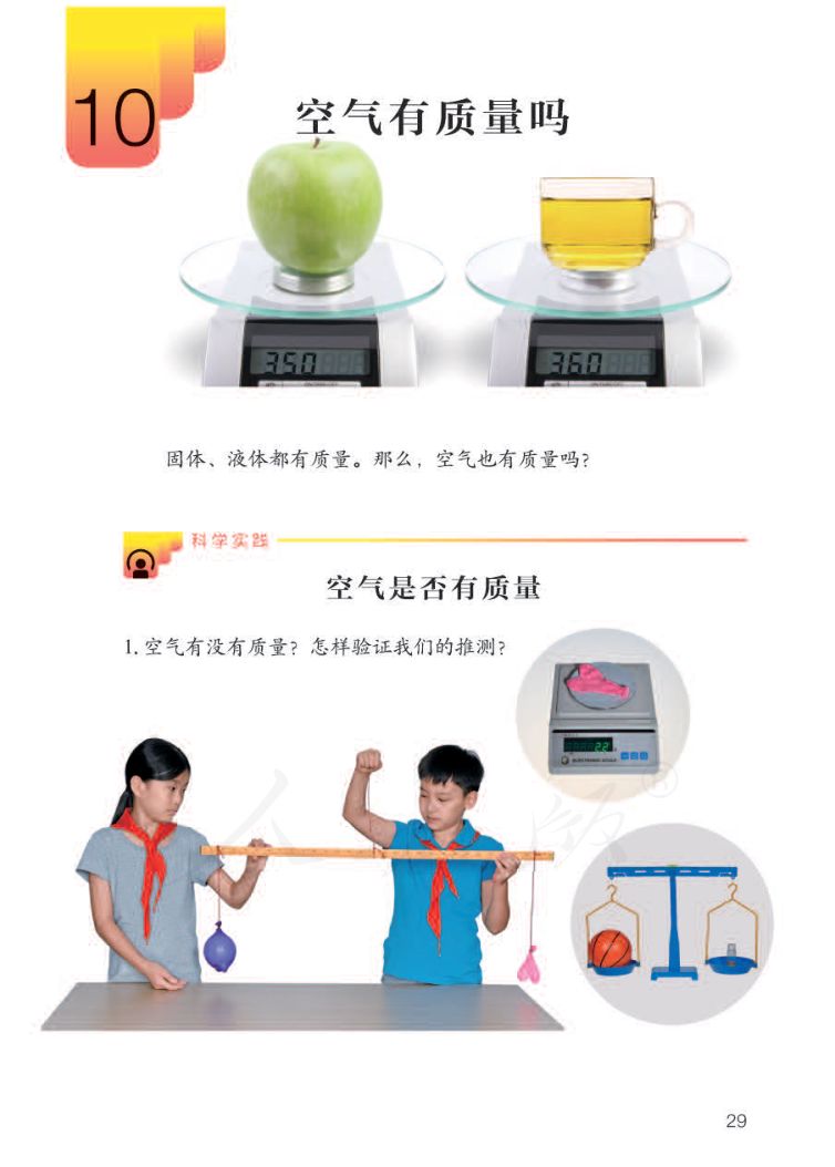 小学科学三年级下册人教版课本第31页