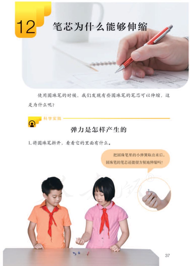 小学科学三年级下册人教版课本第39页