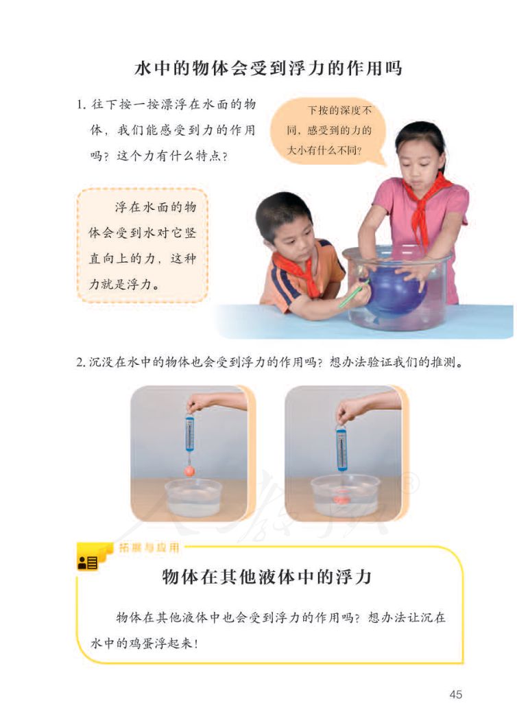小学科学三年级下册人教版课本第47页