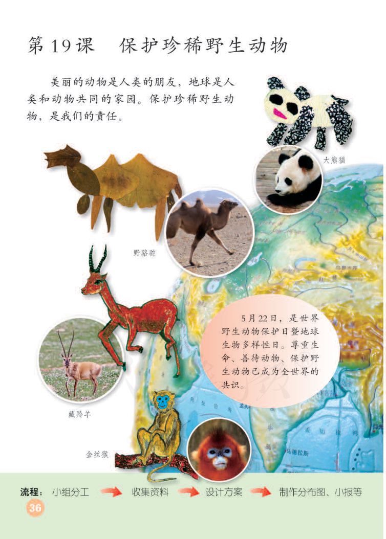 小学美术三年级下册人教版课本第40页
