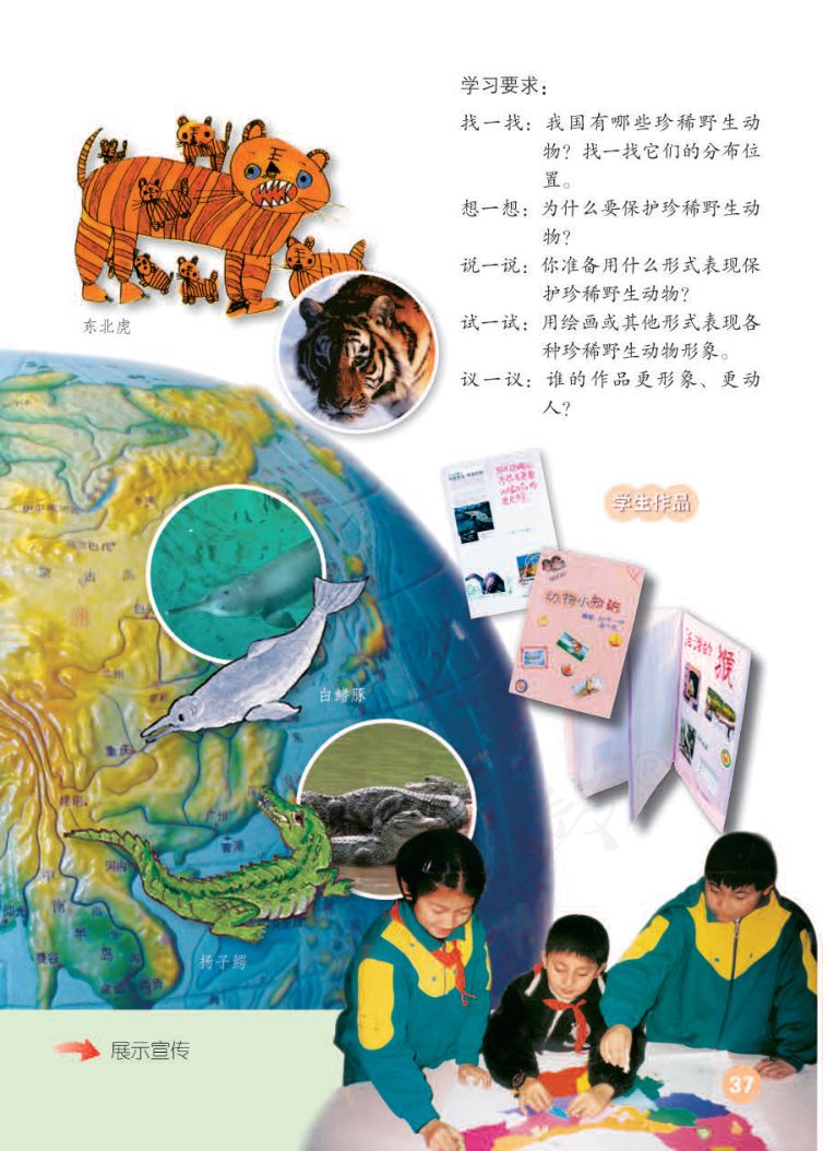 小学美术三年级下册人教版课本第41页