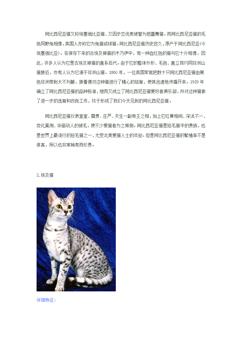 猫种类第6页