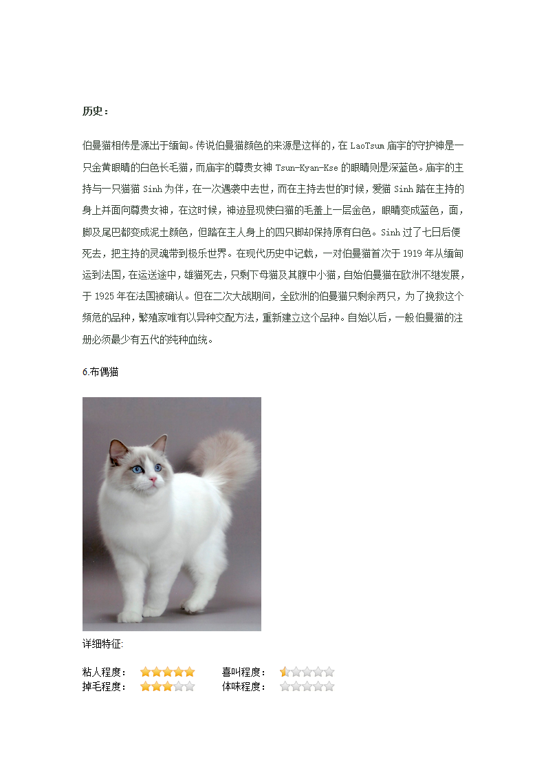 猫种类第11页