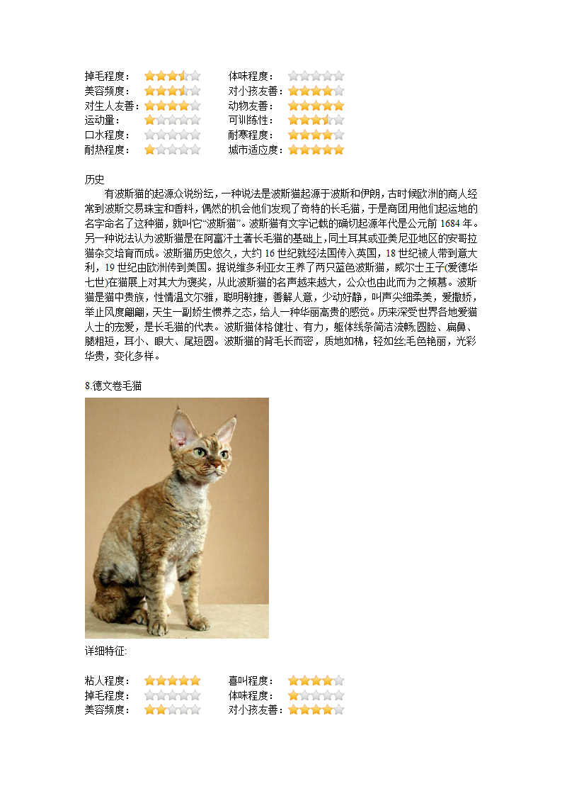 猫种类第13页