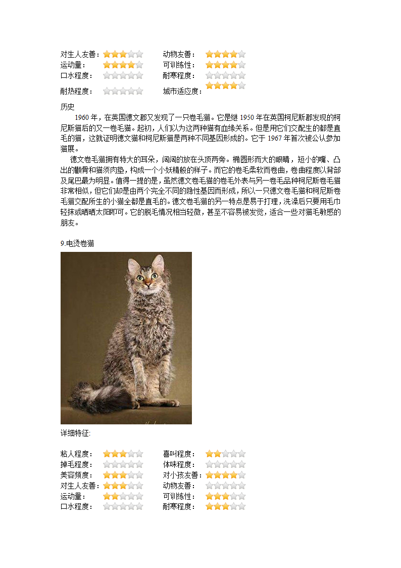 猫种类第14页