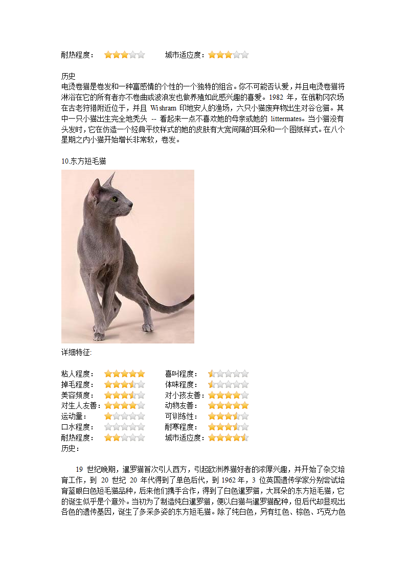 猫种类第15页