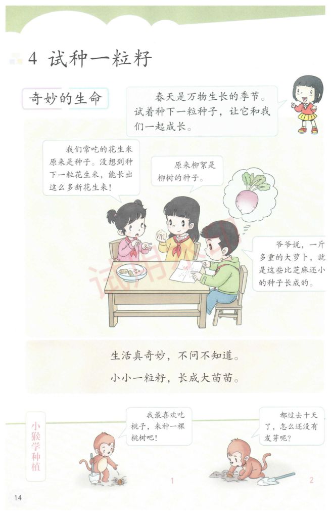 小学道德与法治二年级下册人教版课本-上册第19页
