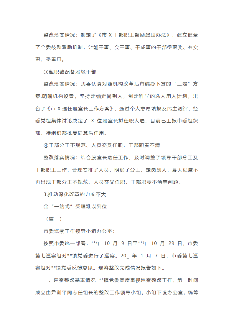 作风建设专项巡察工作总结第11页