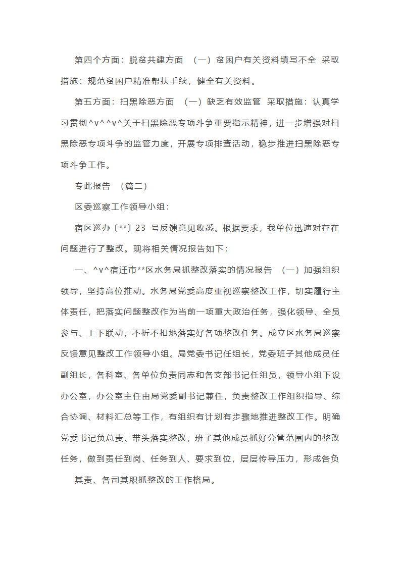 作风建设专项巡察工作总结第14页