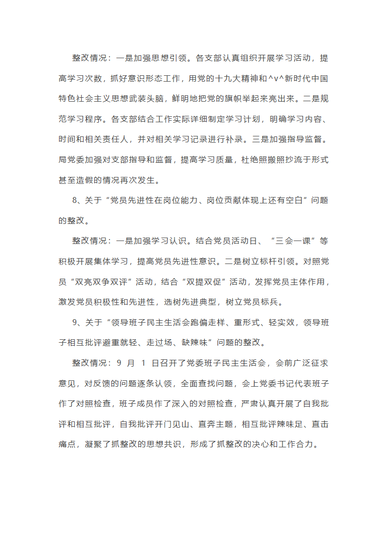作风建设专项巡察工作总结第19页