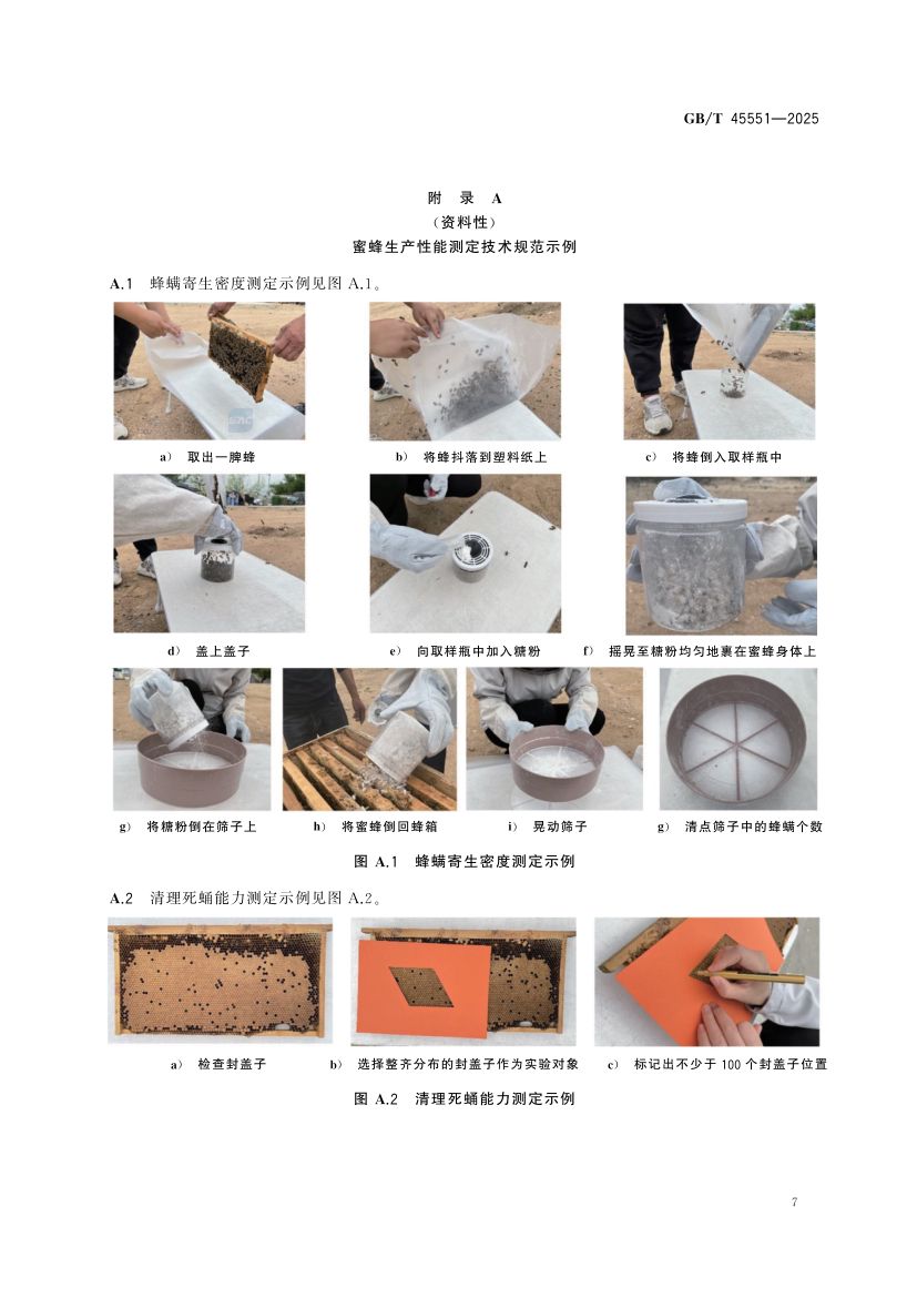蜜蜂生产性能测定技术规范GBT45551-2025第9页