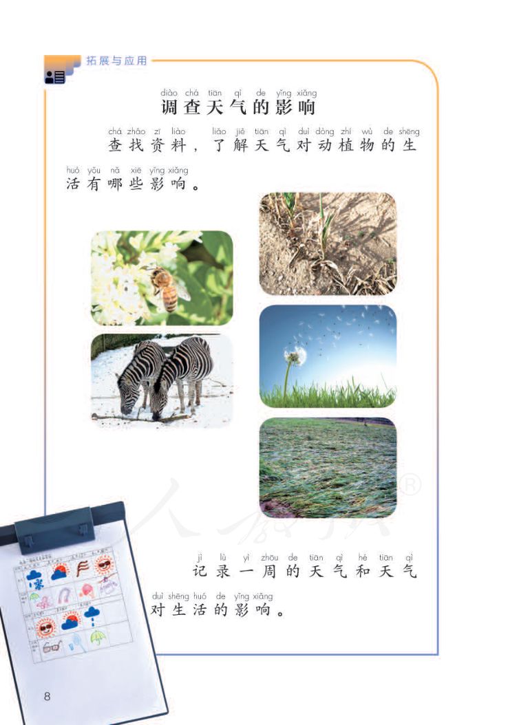 小学科学二年级下册人教版课本第10页