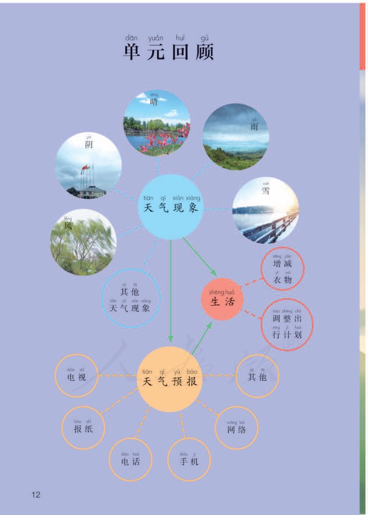 小学科学二年级下册人教版课本第14页