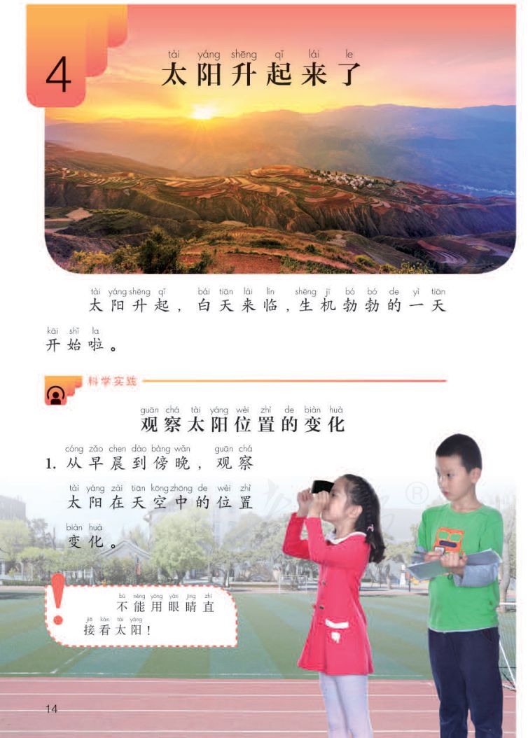 小学科学二年级下册人教版课本第16页