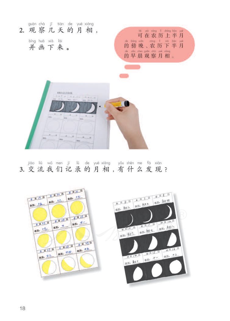 小学科学二年级下册人教版课本第20页
