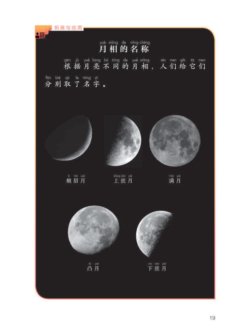 小学科学二年级下册人教版课本第21页
