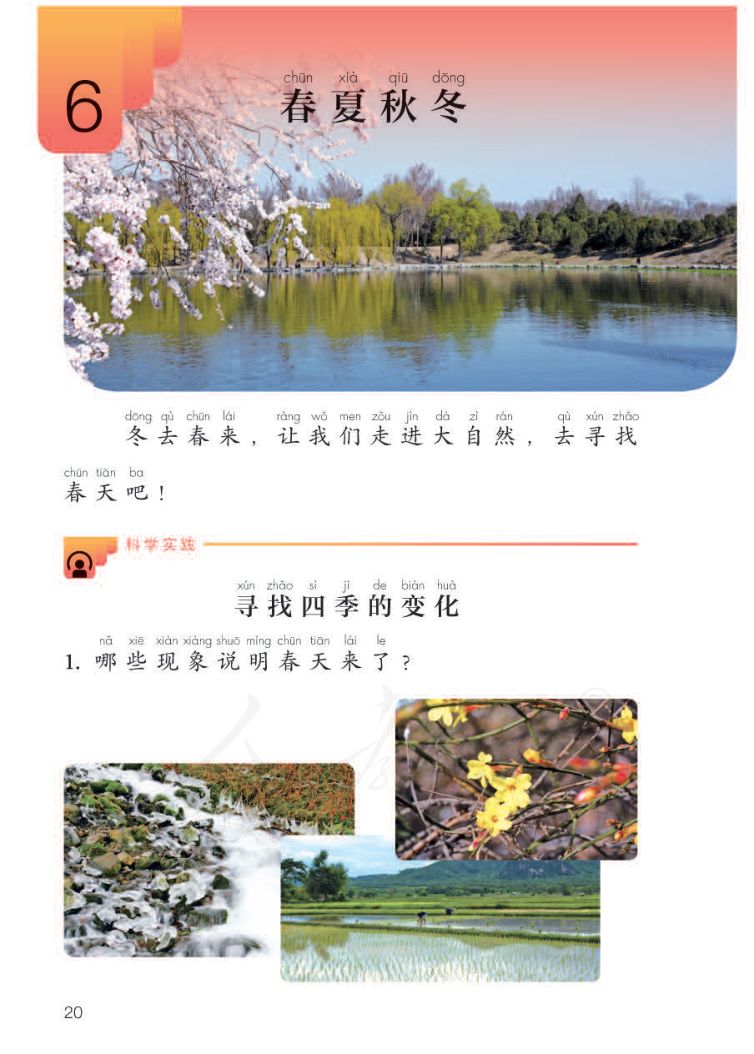 小学科学二年级下册人教版课本第22页
