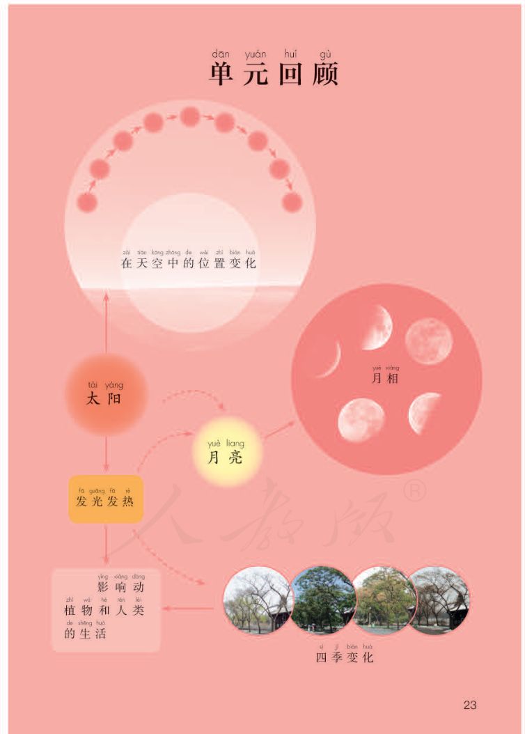 小学科学二年级下册人教版课本第25页