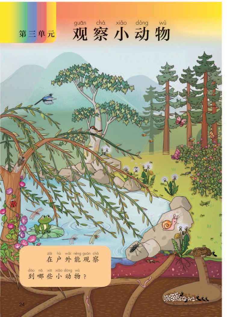 小学科学二年级下册人教版课本第26页