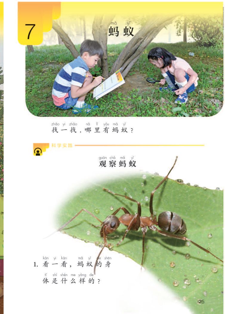 小学科学二年级下册人教版课本第27页