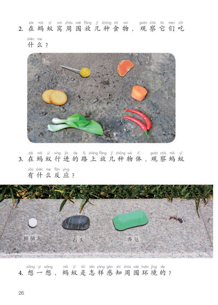 小学科学二年级下册人教版课本第28页