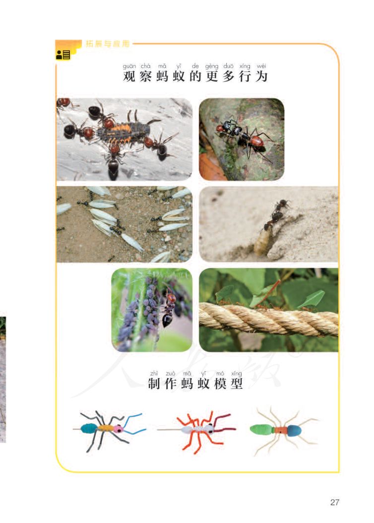 小学科学二年级下册人教版课本第29页