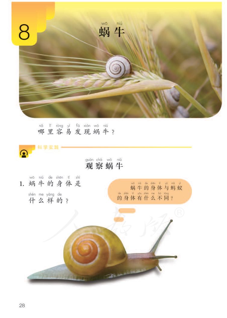 小学科学二年级下册人教版课本第30页