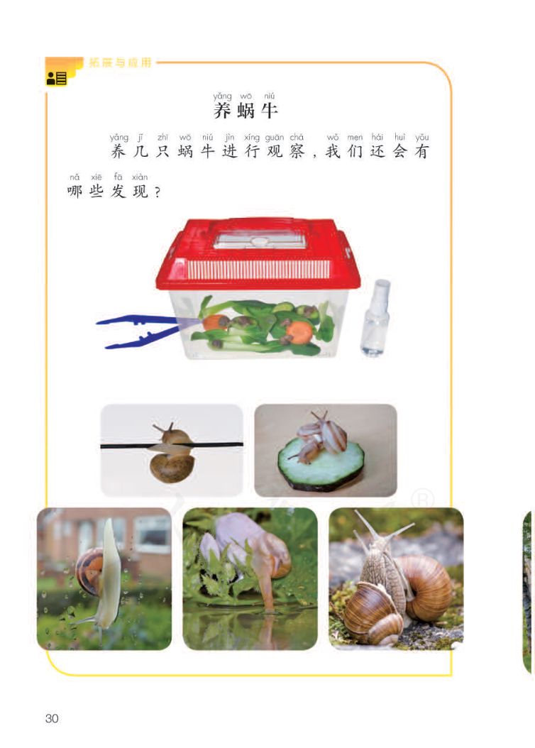 小学科学二年级下册人教版课本第32页