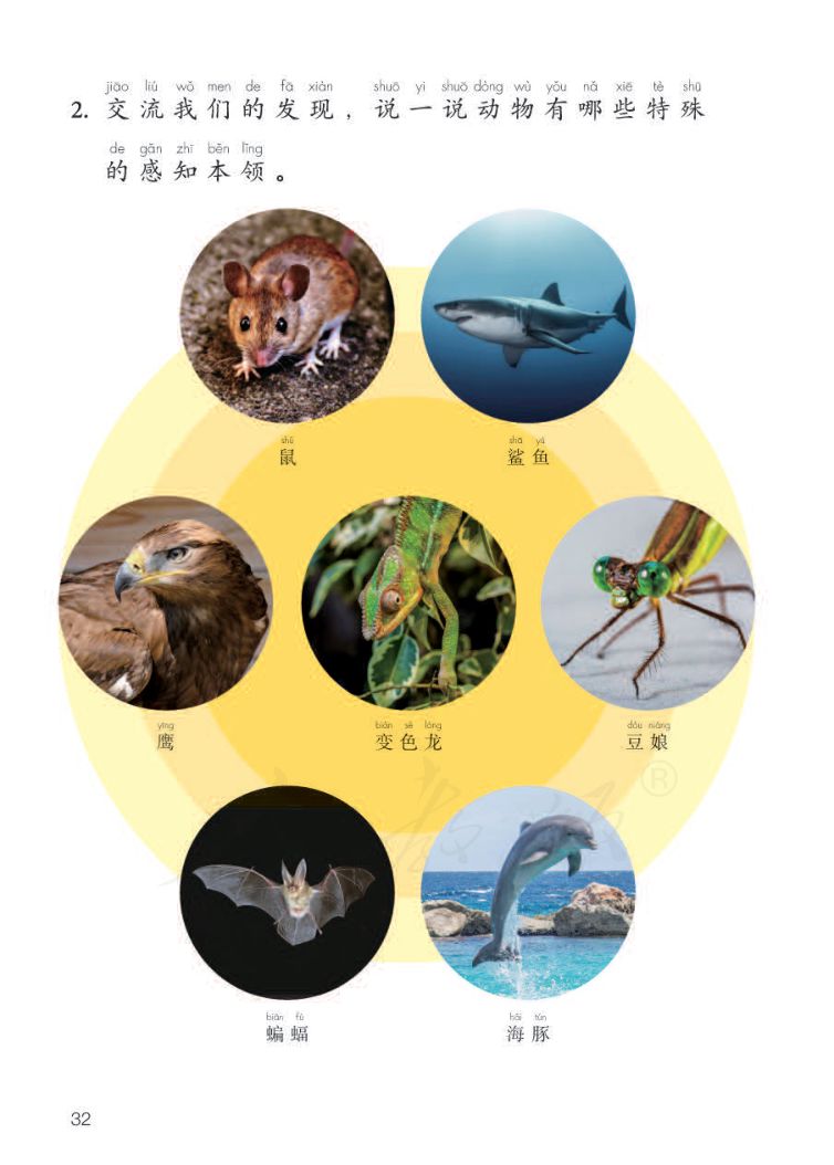 小学科学二年级下册人教版课本第34页
