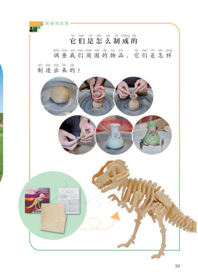 小学科学二年级下册人教版课本第41页