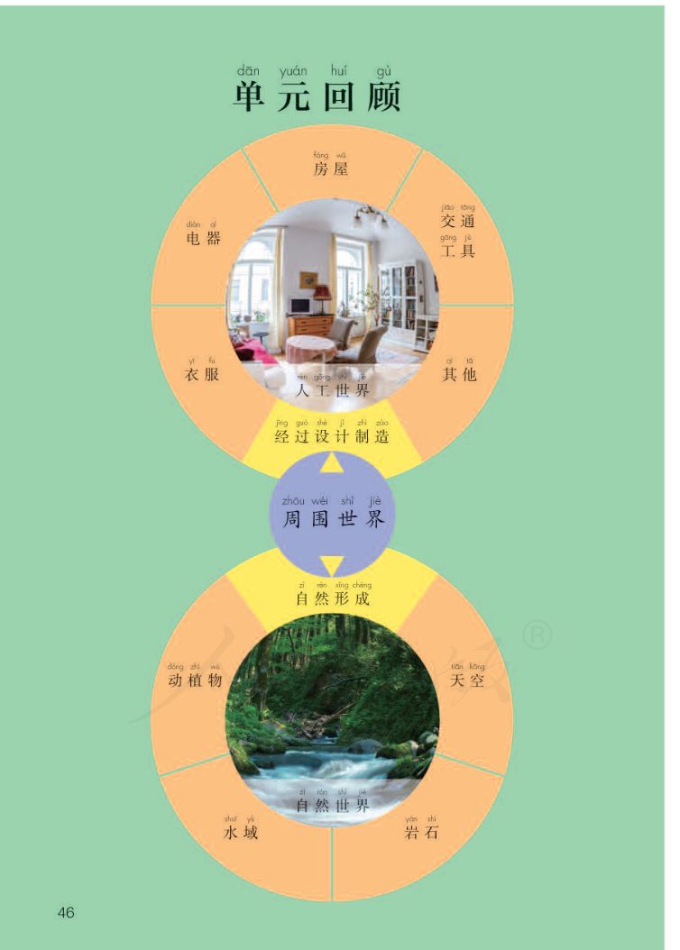 小学科学二年级下册人教版课本第48页