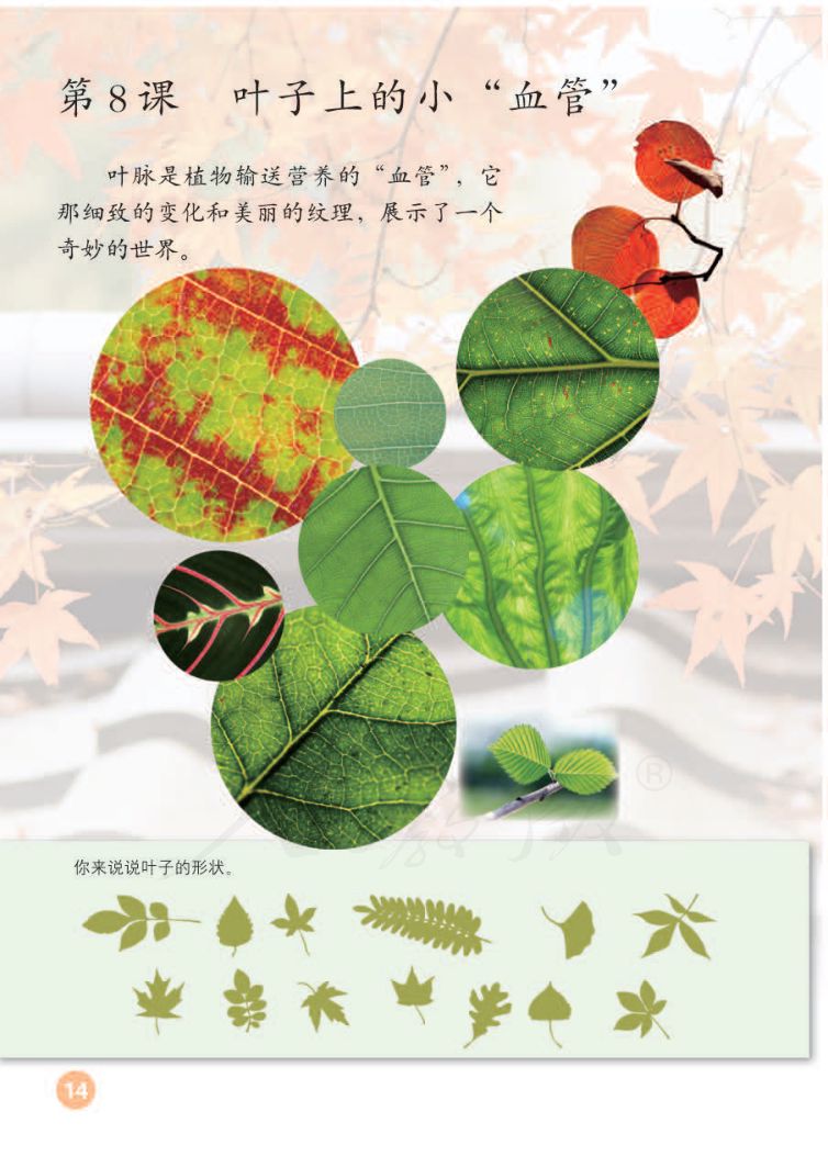 小学美术二年级下册人教版课本第18页