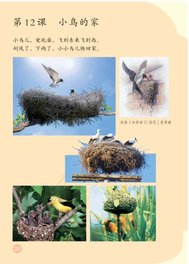 小学美术二年级下册人教版课本第26页