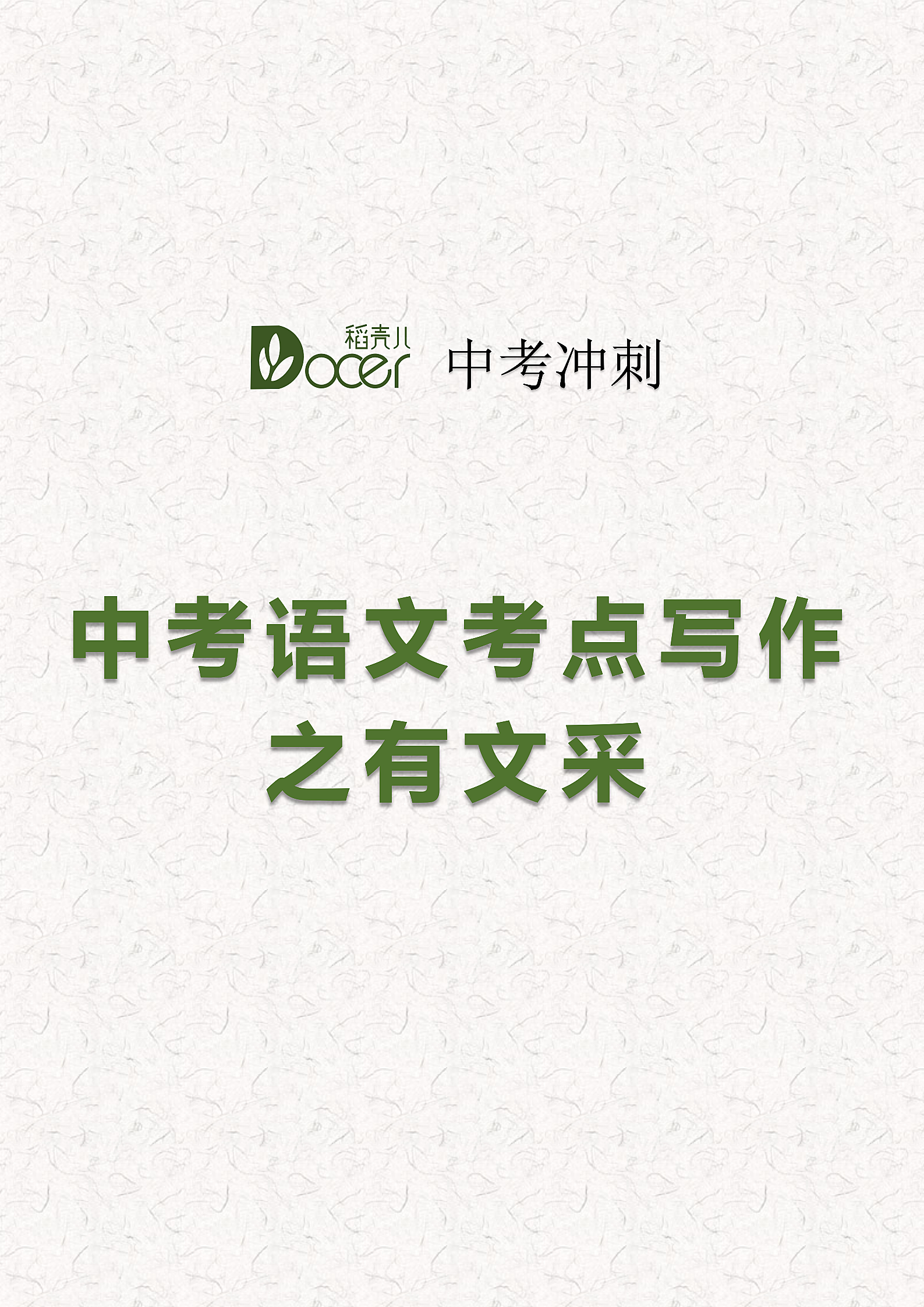 中考语文考点写作之有文采.docx第1页