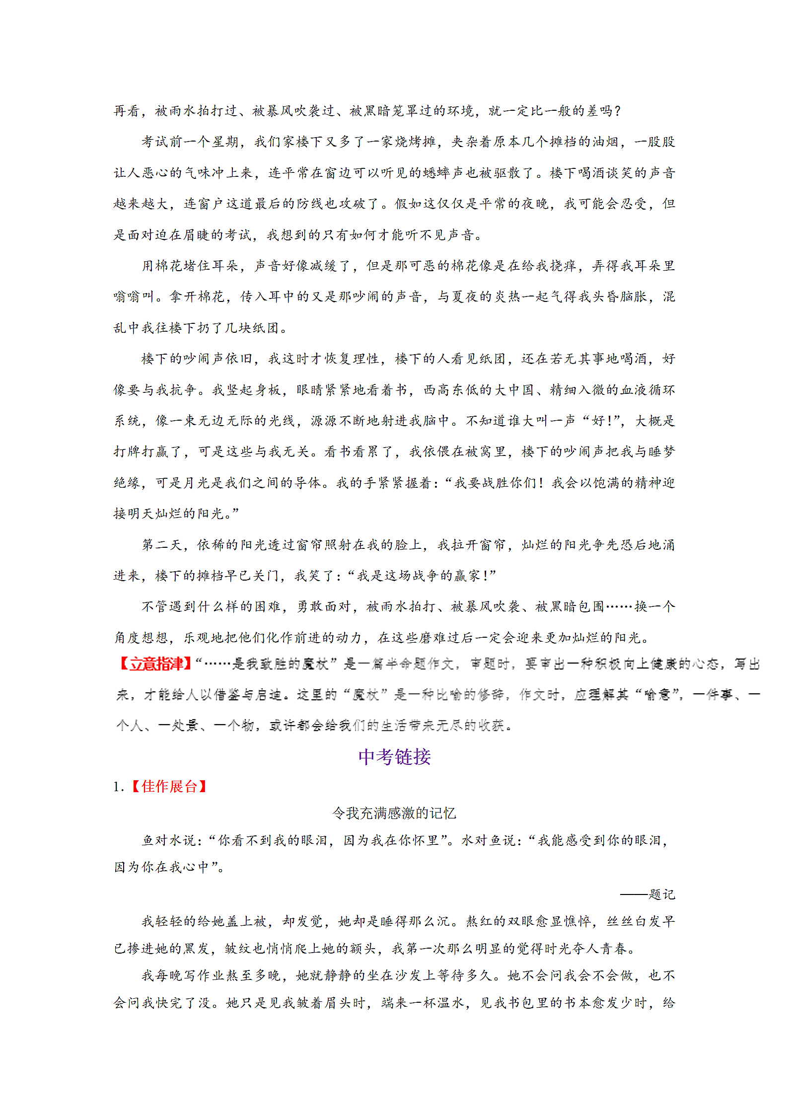 中考语文考点写作之有文采.docx第8页