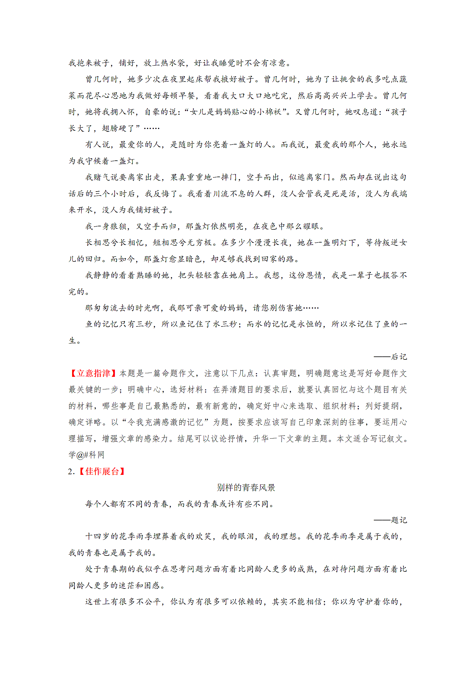 中考语文考点写作之有文采.docx第9页