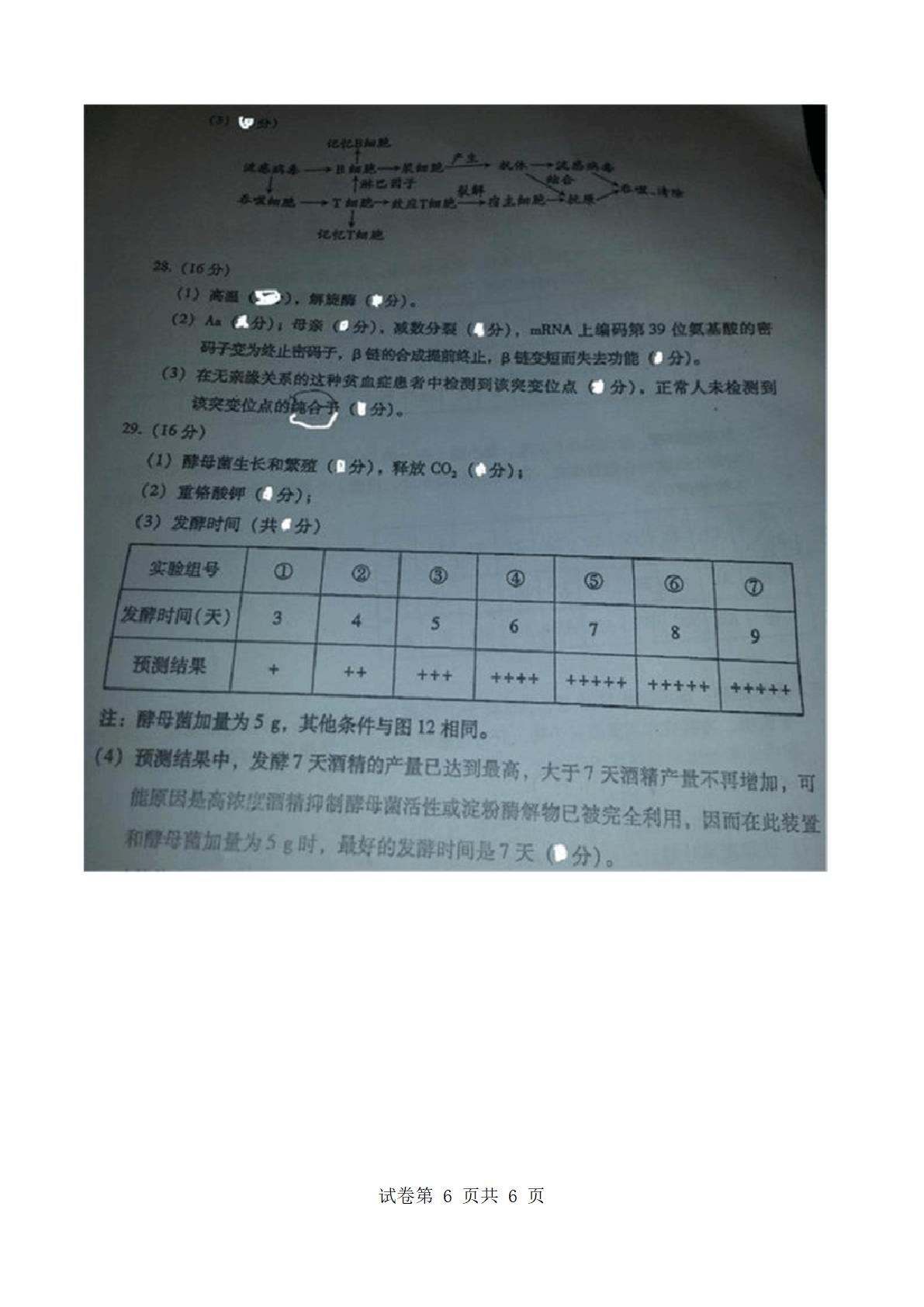 高考生物试卷及答案第6页
