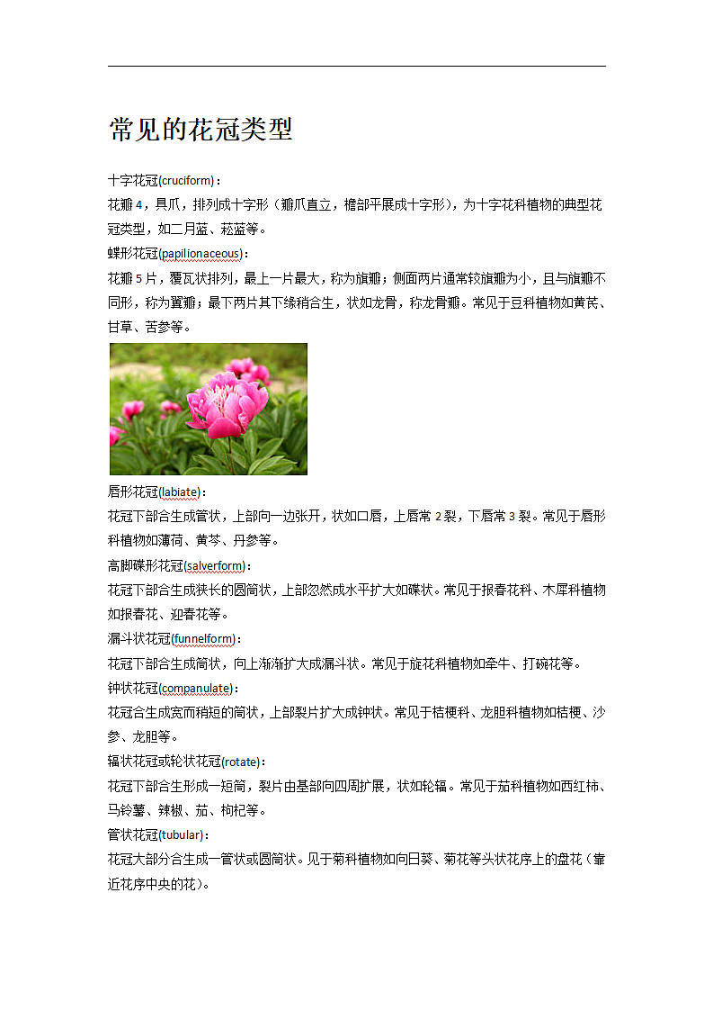 常见的花冠类型第1页