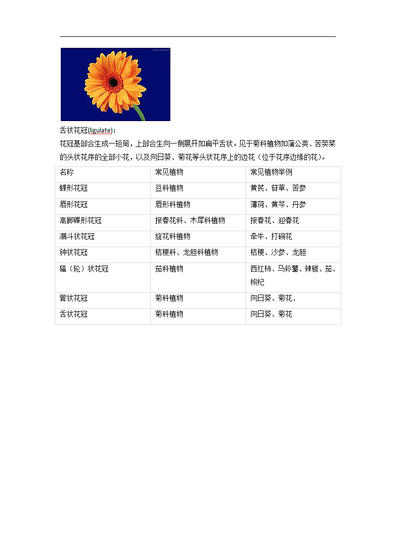 常见的花冠类型第2页