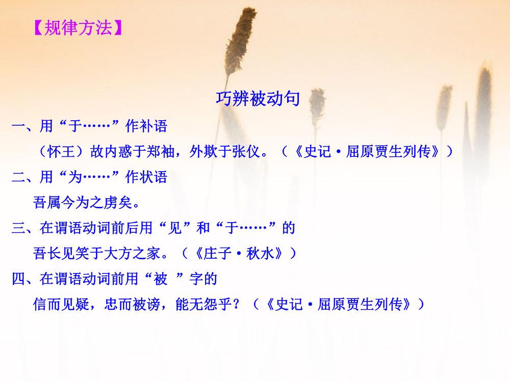《鸿门宴》教学课件第20页
